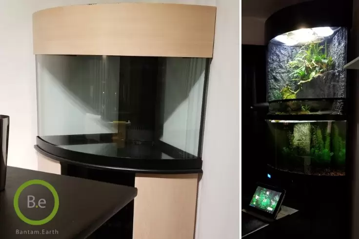 before and after paludarium build