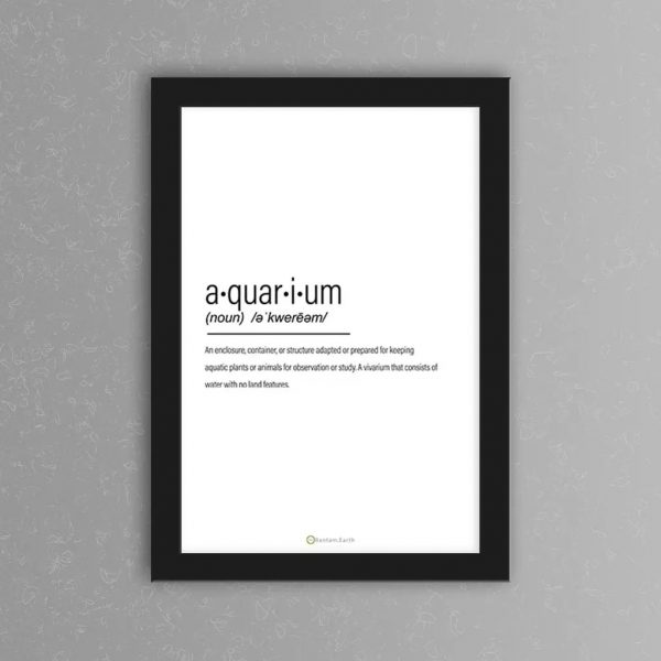 Aquarium Complete Care Guide & "How To" Build Bantam.Earth