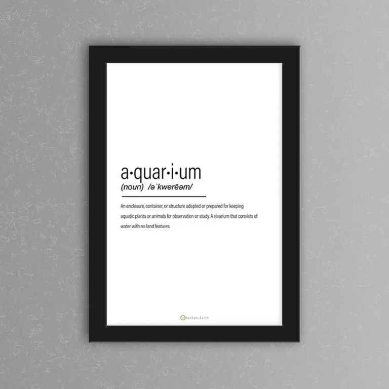 Aquarium Complete Care Guide & "How To" Build Bantam.Earth