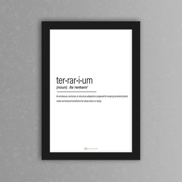 Terrarium Complete Care Guide & "How To" Build Bantam.Earth