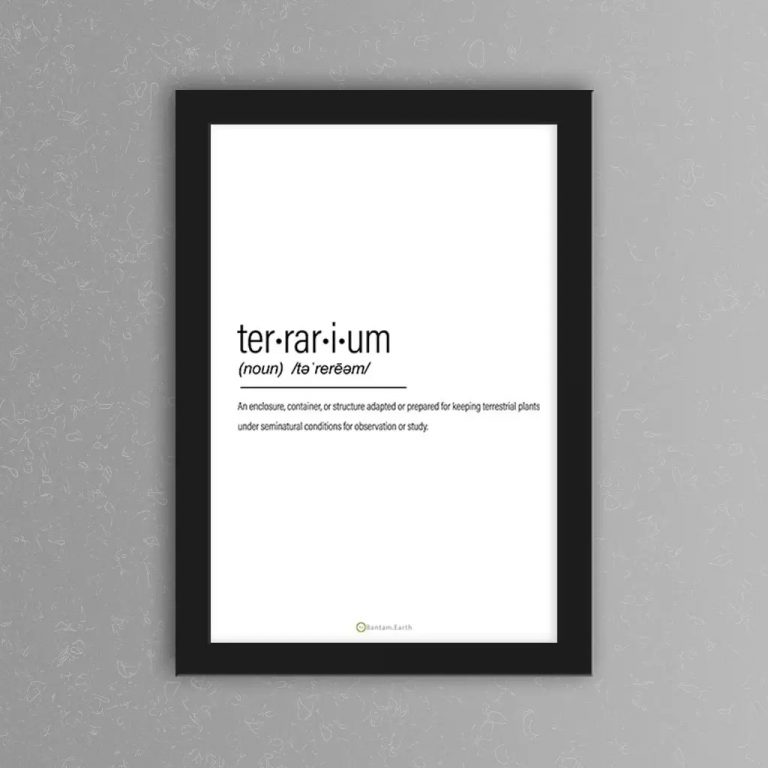 Terrarium Complete Care Guide & "How To" Build Bantam.Earth