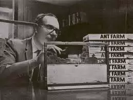 uncle Milton Levine ant farm history