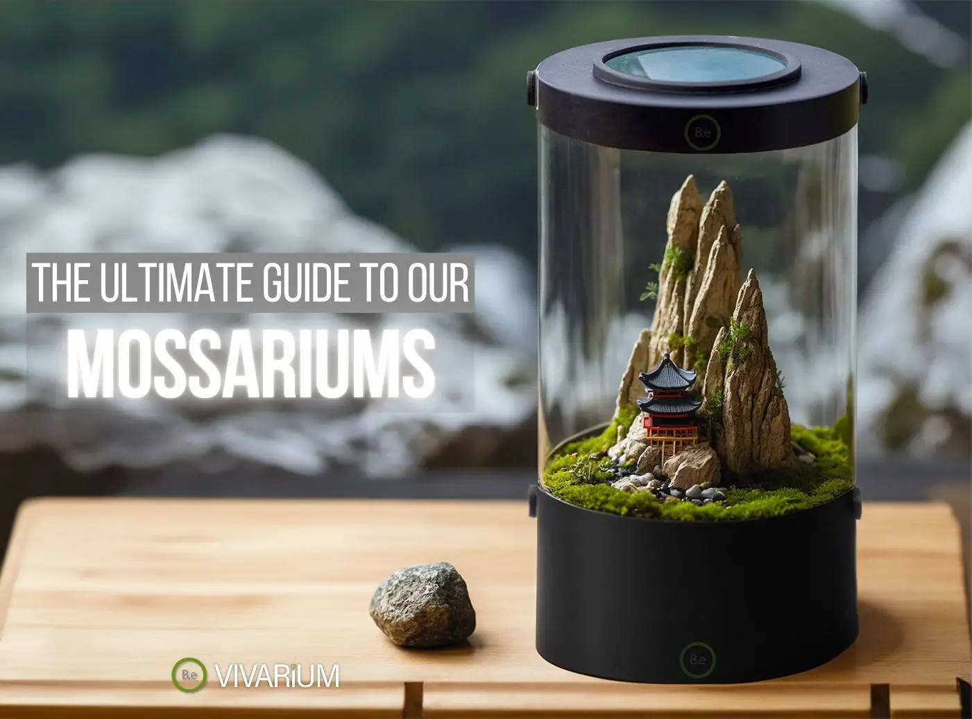 Mossarium 101: A Complete Guide to Making Your Own Moss Terrarium!