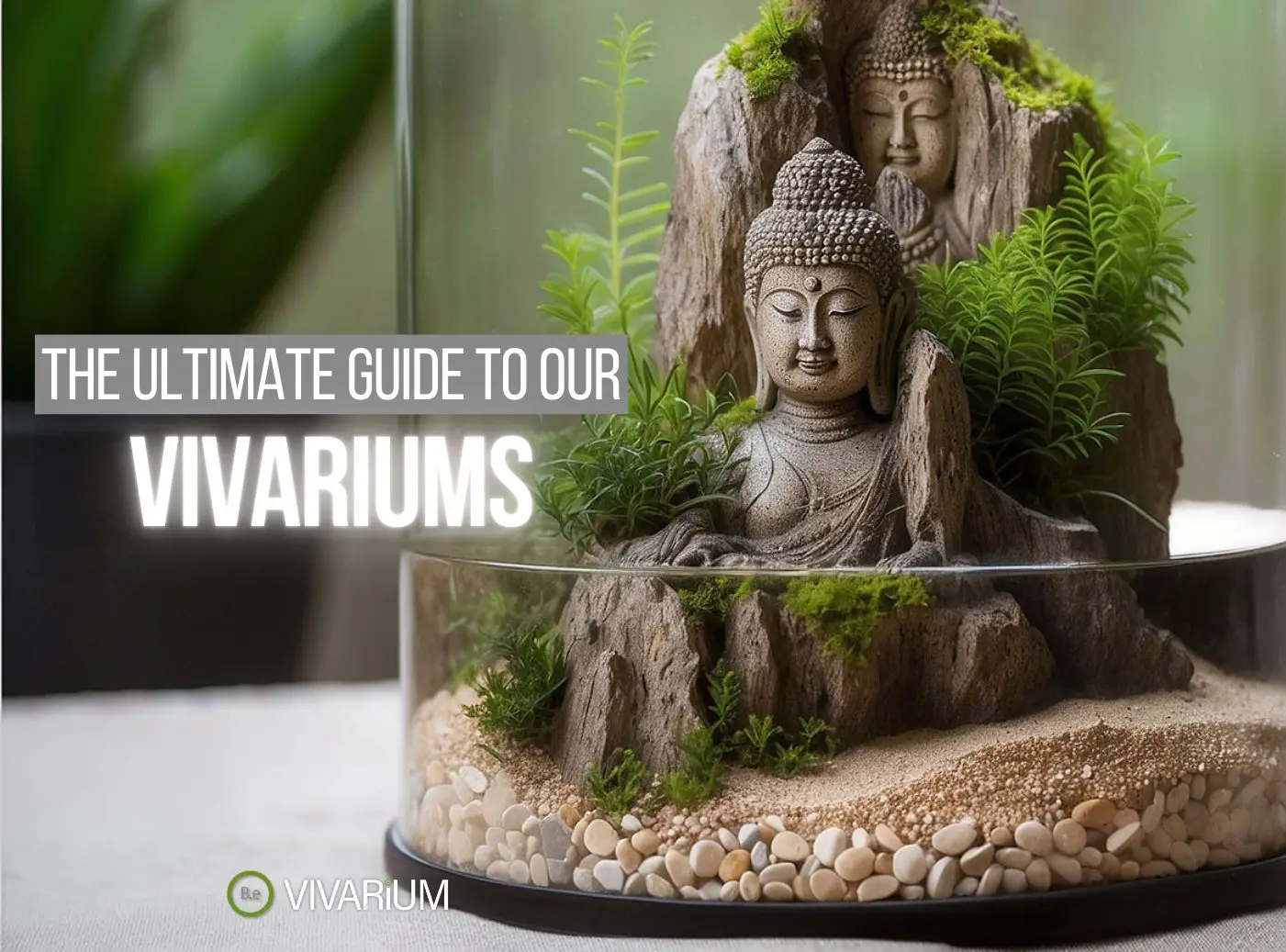 Vivariums 101: A Complete Guide To A Self-Sustaining Ecosystem!