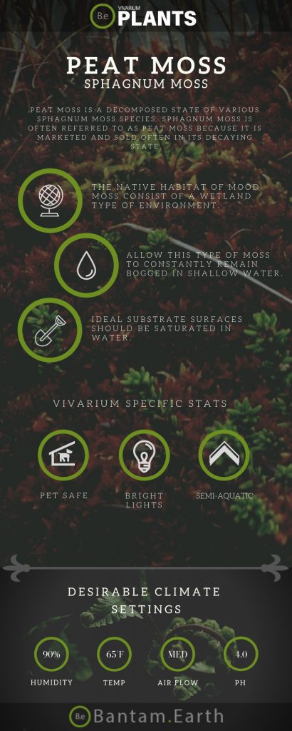 sphagnum moss peat moss info card