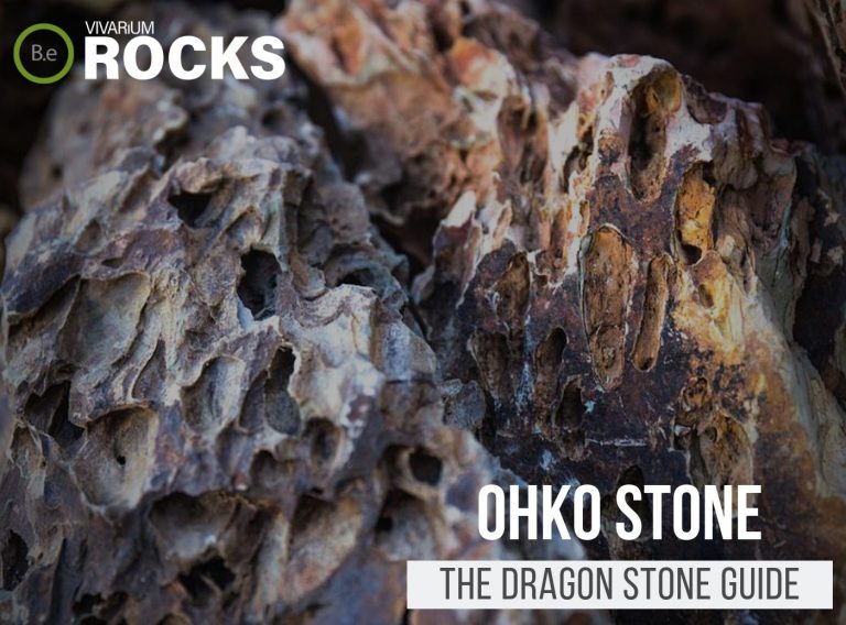 Ohko Stone "Dragon Stone" Aquascape Hardscaping Guide