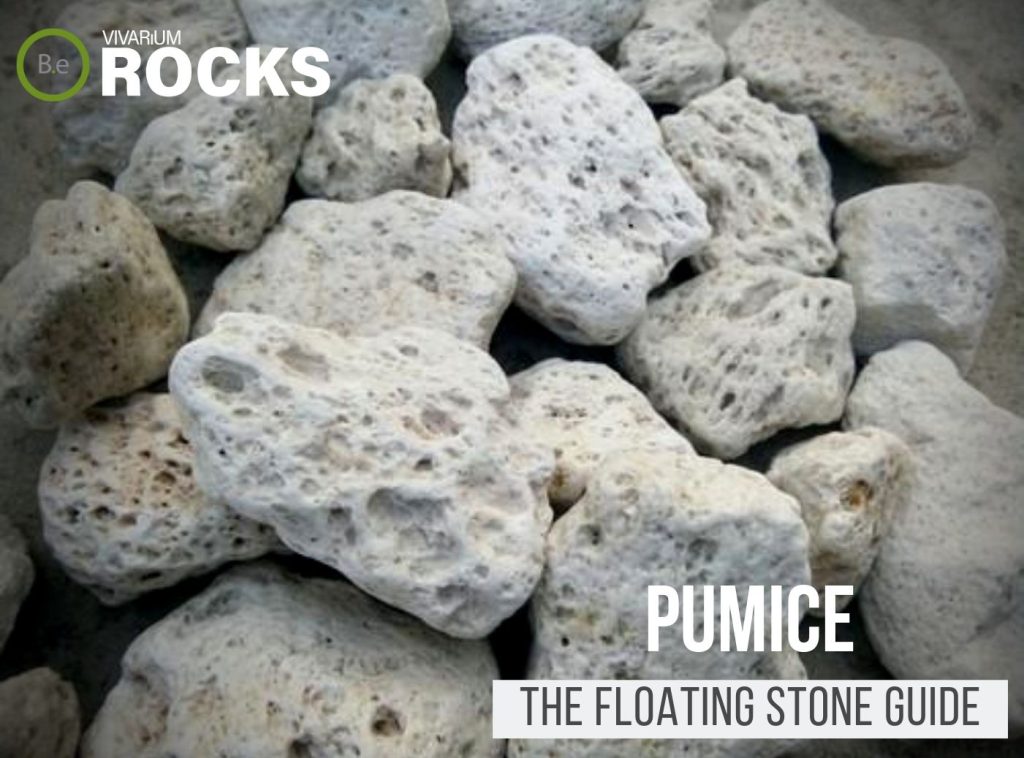 Pumice Rock "Floating Stone" Hardscape Guide