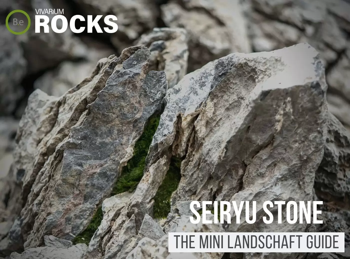 Mini Landschaft Iwagumi-Stil Aquarium Natursteine Seiryu Stone DARK Ryuoh Rock 