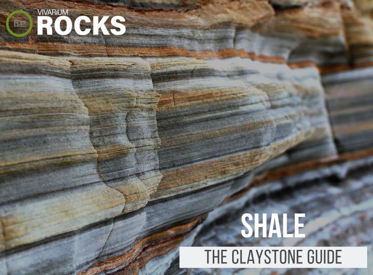 Shale Rock "Claystone" Aquascape Hardscaping Guide