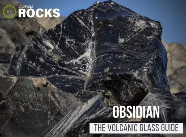 Obsidian Rock "Volcanic Glass" Hardscape Guide