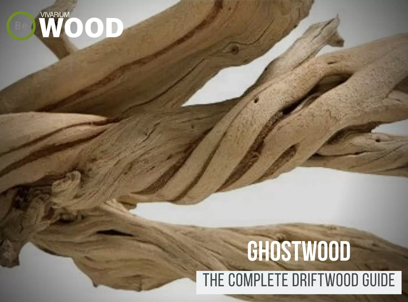 California Driftwood "Ghostwood" - The Hardscape Guide