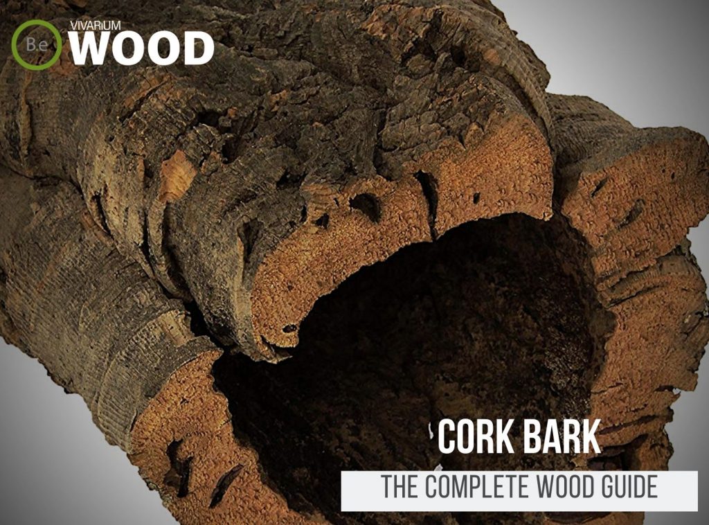 Cork Bark (Rounds, Flats & Hides) - The Hardscape Guide