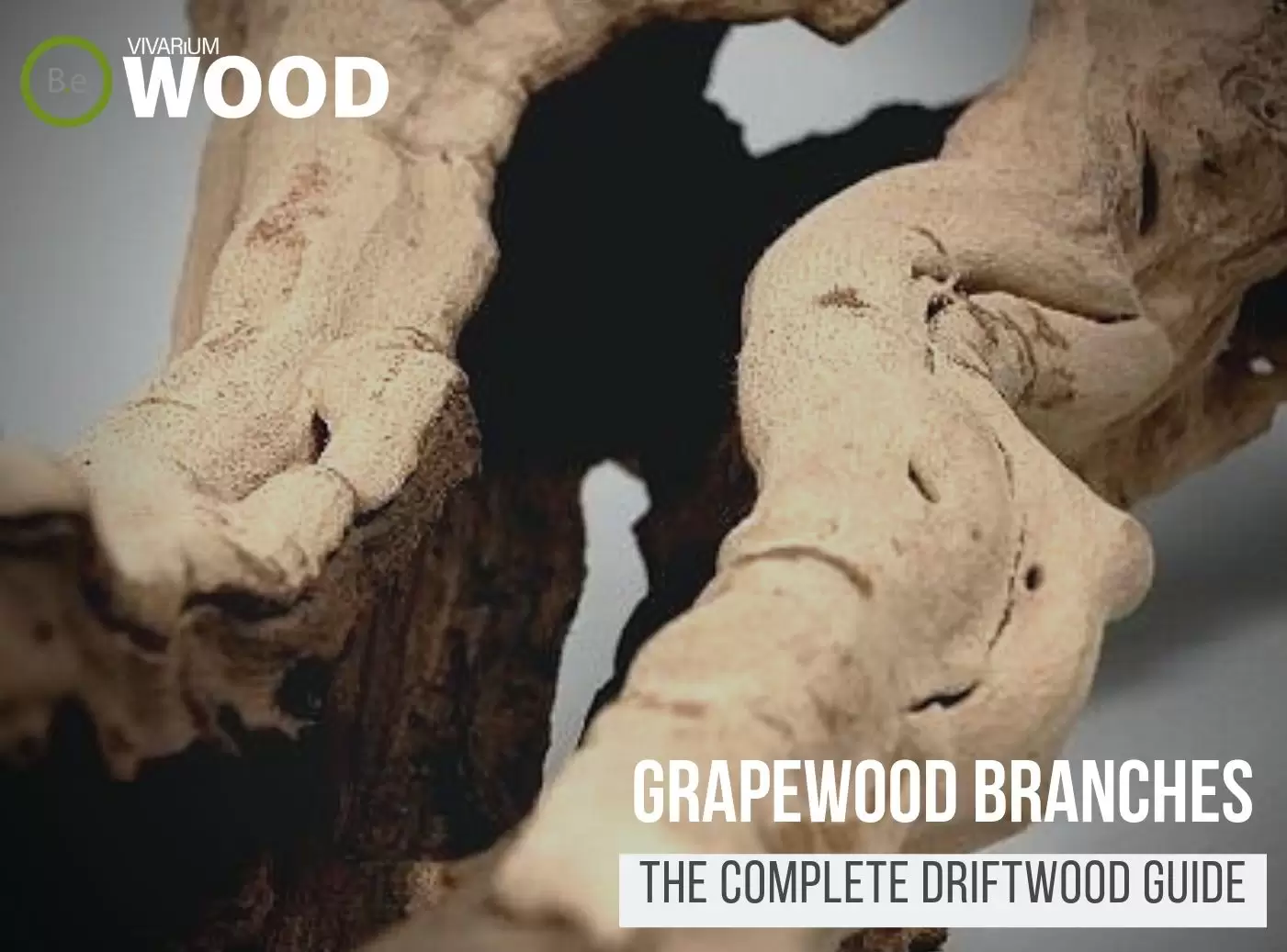 Grapewood Branches "Grapevine" - The Driftwood Guide