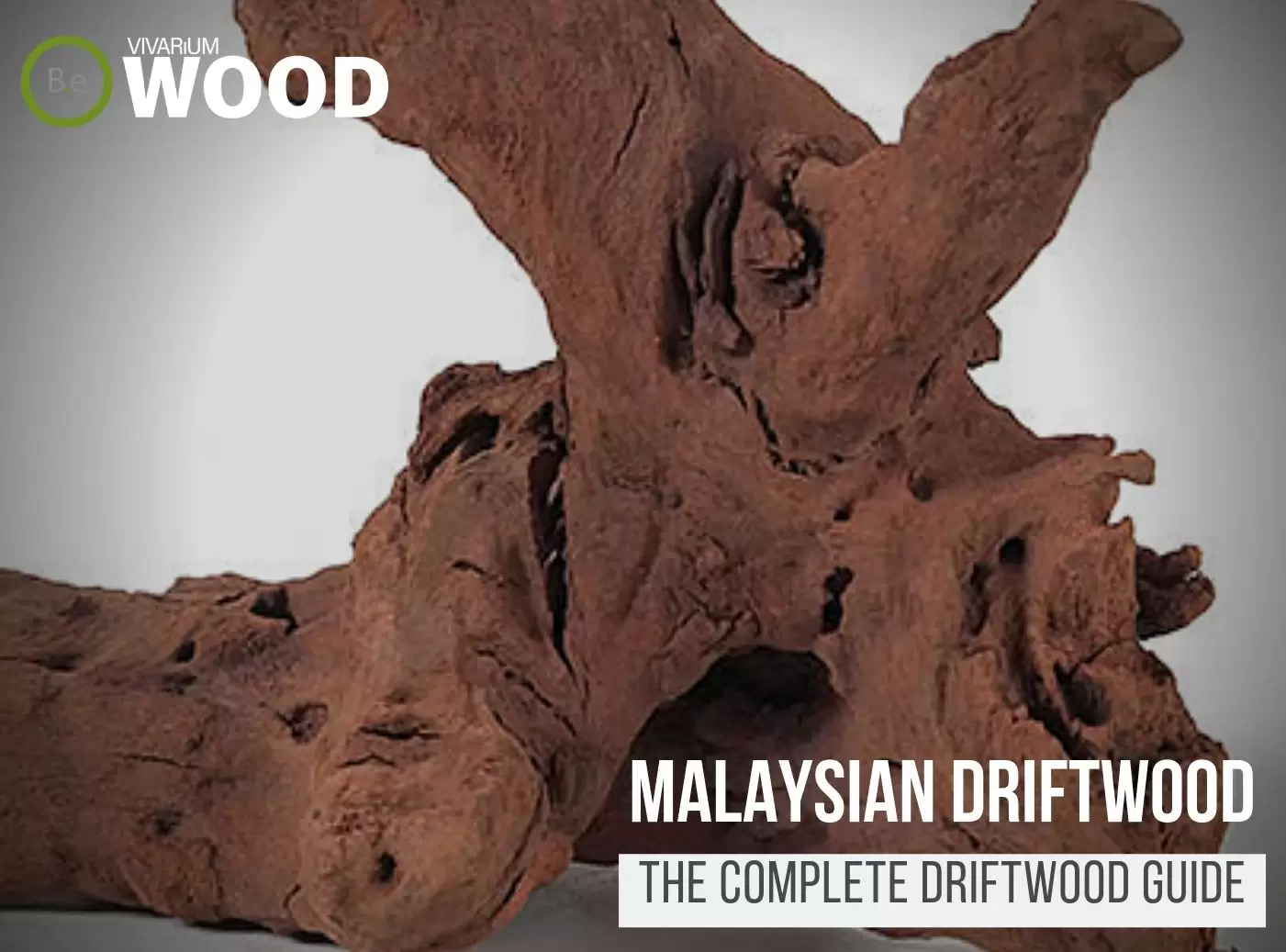 Malaysian Driftwood "Blackwood" - The Hardscape Guide
