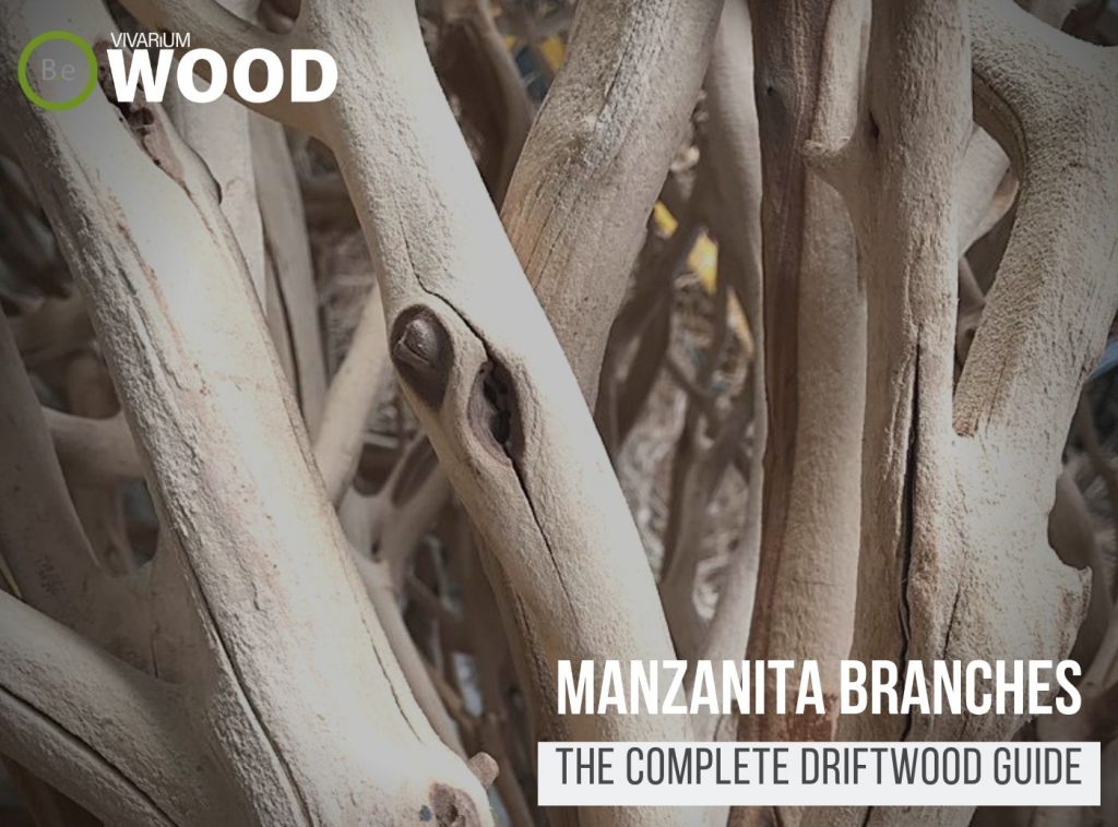 The Hardscape Guide to Spider Wood Driftwood (Azalea Root)