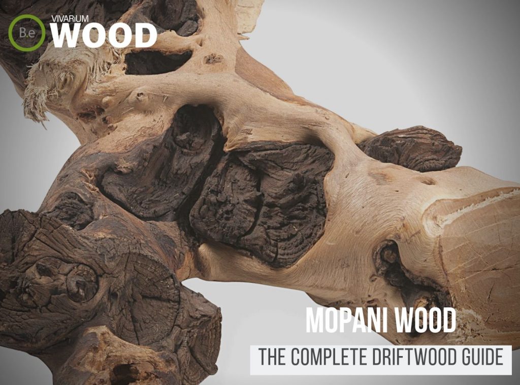 Gnarly Driftwood "Mopani Wood" - The Hardscape Guide