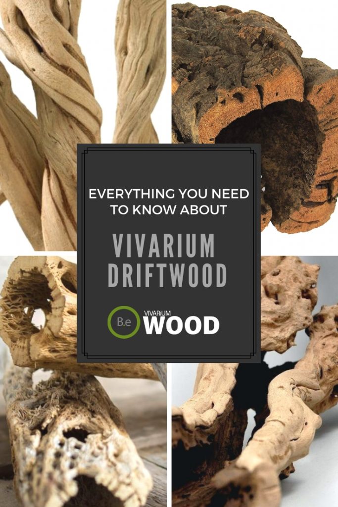 The Hardscape Guide to Spider Wood Driftwood (Azalea Root)