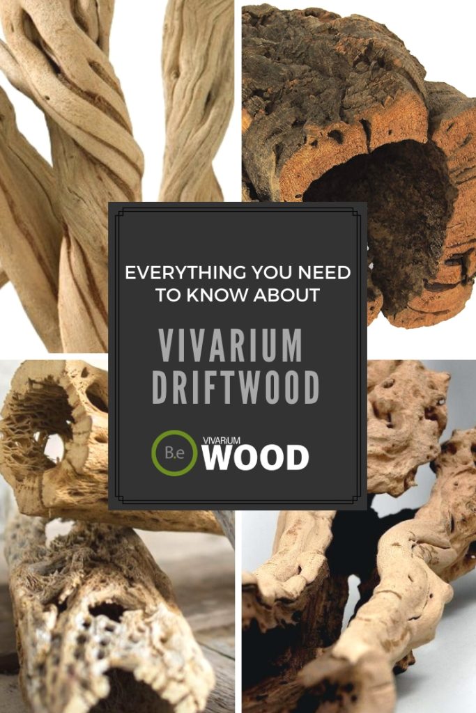 Vivarium Wood, Driftwood & Bark The Definitive Guide & Complete List