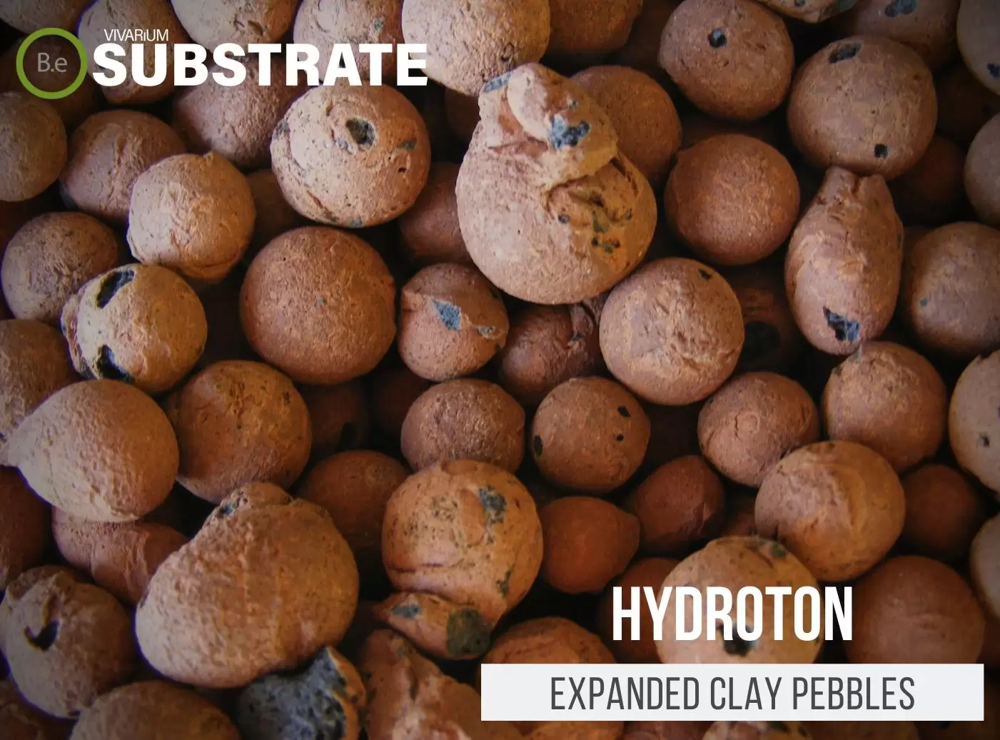 Expanded Clay Pebbles | Hydroton, LECA, Etc.