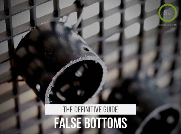 False Bottoms The Definitive Guide To Vivarium Drainage Layers