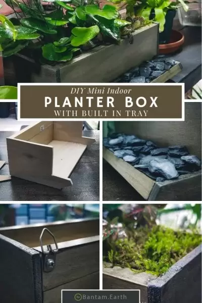 DIY mini indoor planter box