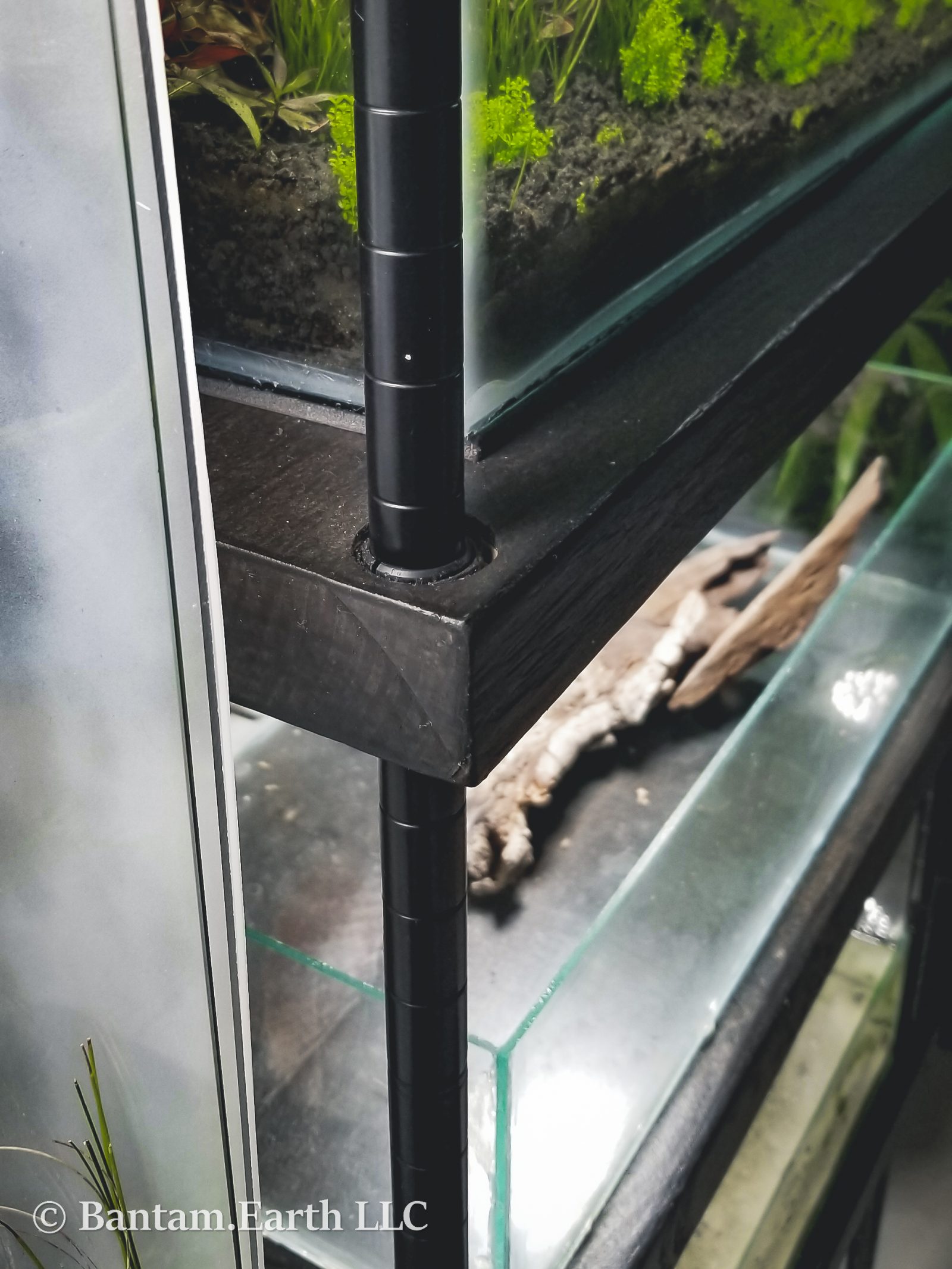 Rustic DIY Vivarium Rack With Adjustable Shelves Bantam.Earth