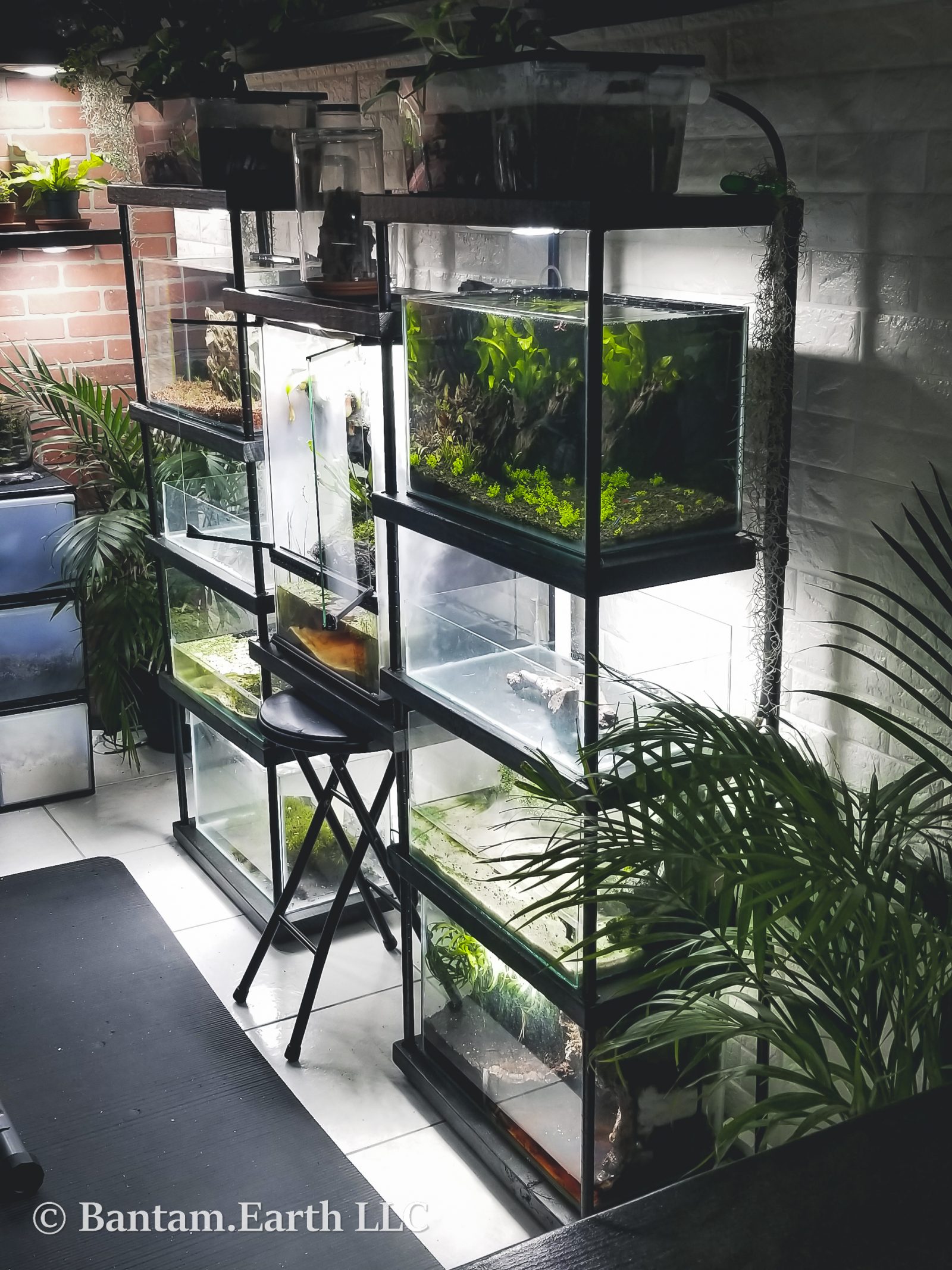 Rustic DIY Vivarium Rack With Adjustable Shelves Bantam.Earth