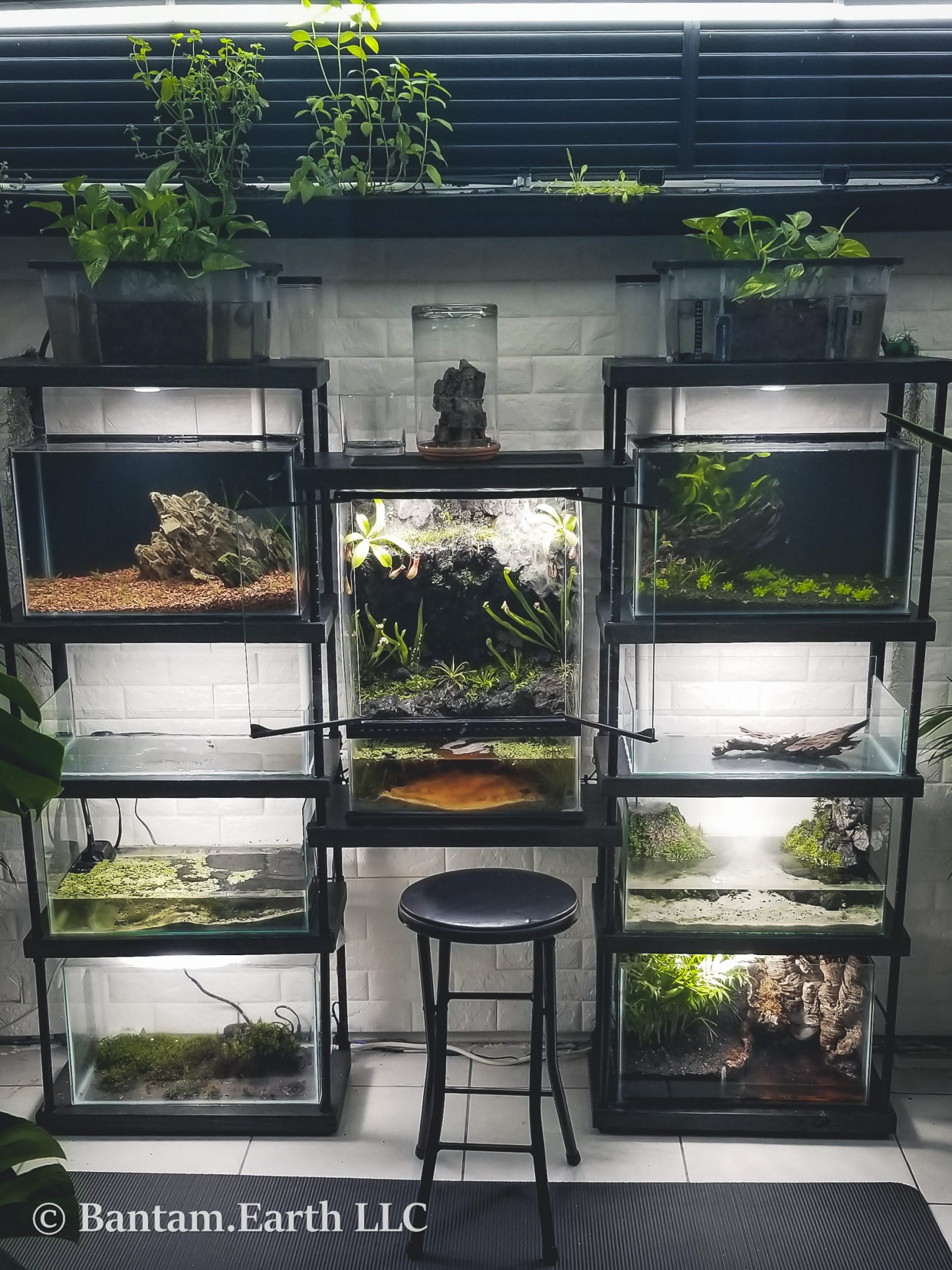 Rustic DIY Vivarium Rack With Adjustable Shelves Bantam.Earth