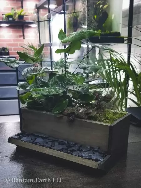 14+ Planter Box Indoor