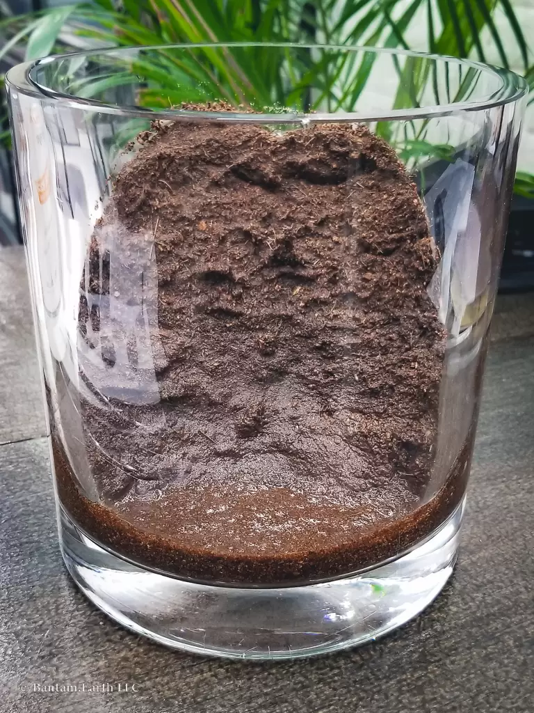 Coconut coir in terrarium