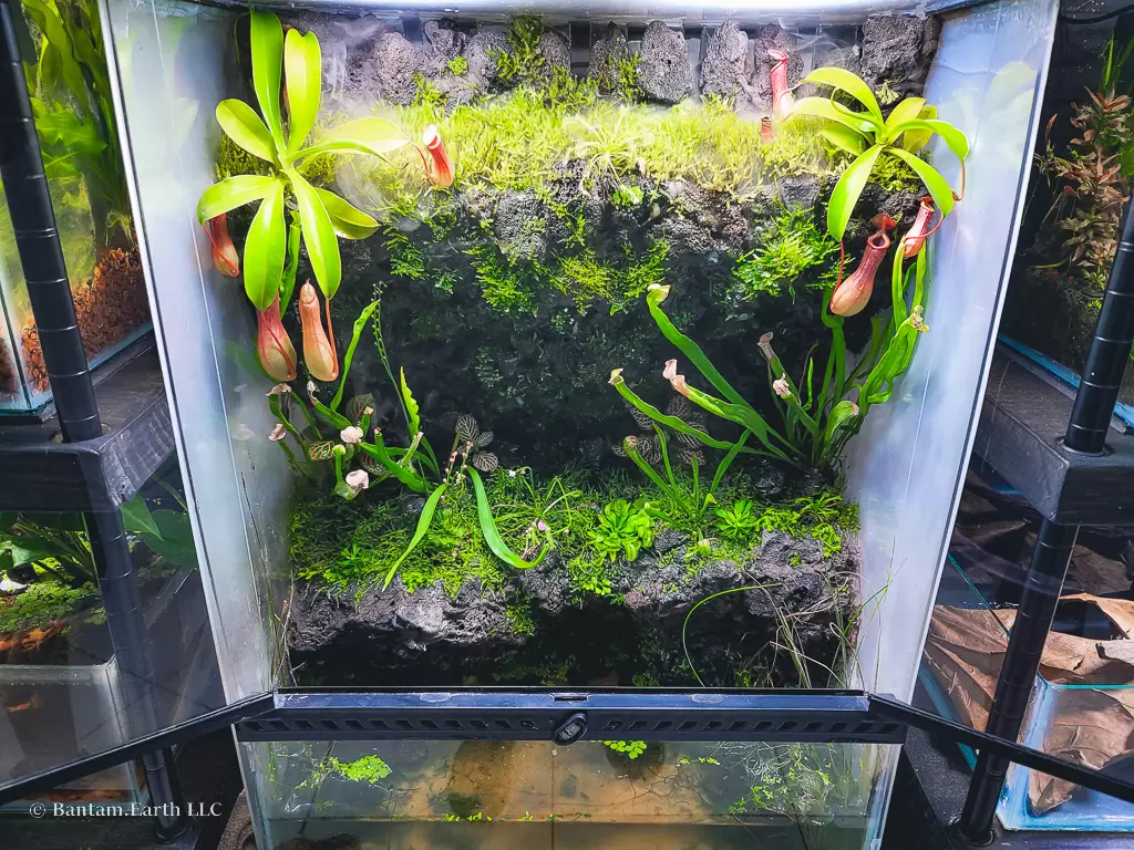 mini complete paludarium tank