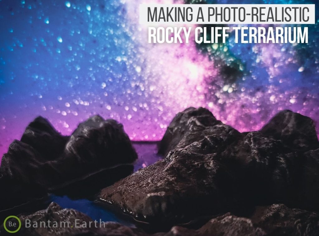 Making A Photo-Realistic Mini Rocky Cliff Terrarium