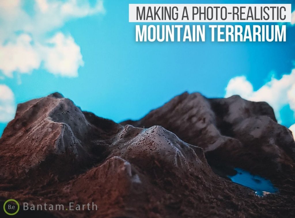 Making A Photo-Realistic Mini Mountain Terrarium