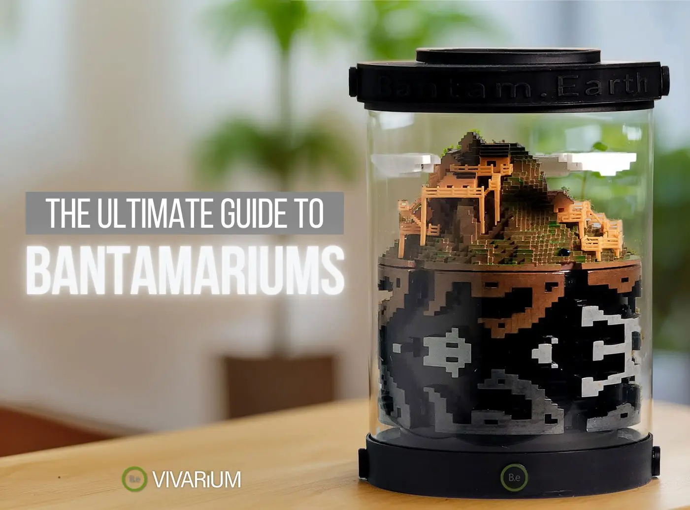 Bantamarium: Ultimate Guide to Customizable Ecosystems