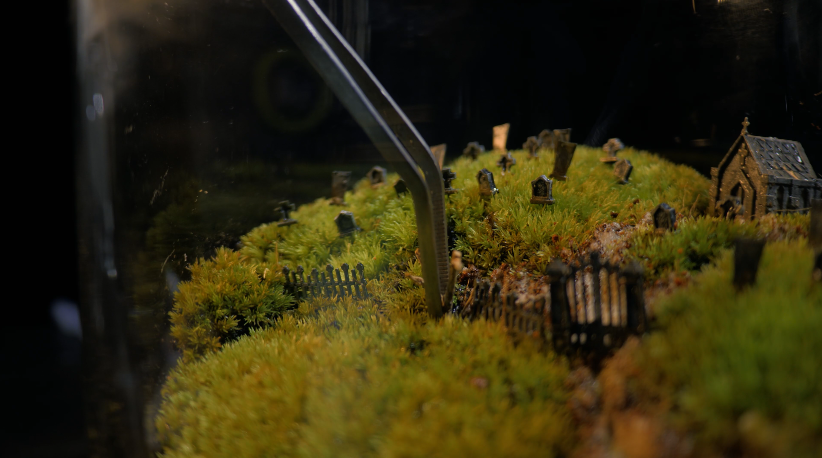 Adding Trees To The Moss Terrarium