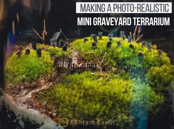 Using Halloween Terrarium Decor to Make a Graveyard Terrarium