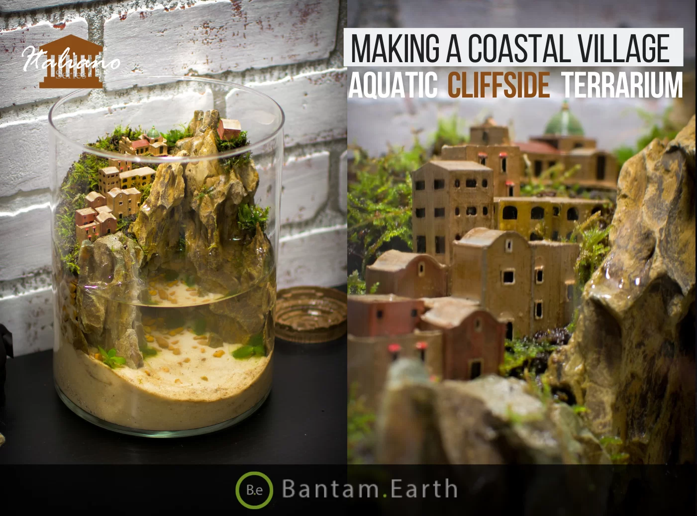 Make A Coastal Village Aquatic Cliffside Terrarium