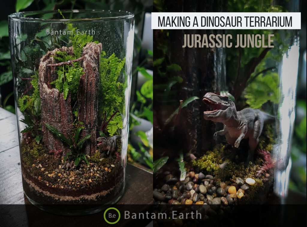 Making Jurassic Jungle | A Dinosaur Terrarium