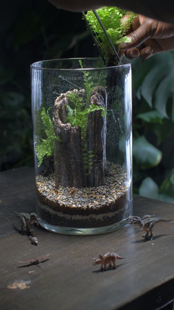 Making A Dinosaur Terrarium "Jurassic Jungle"