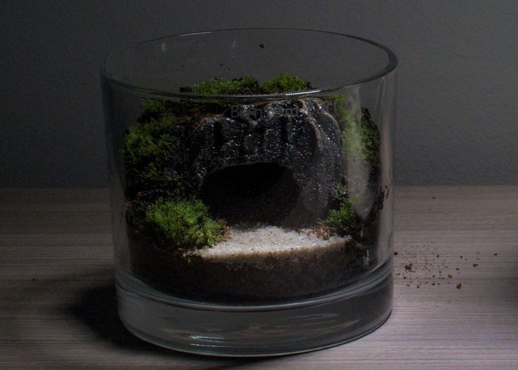 Making A Cave Terrarium