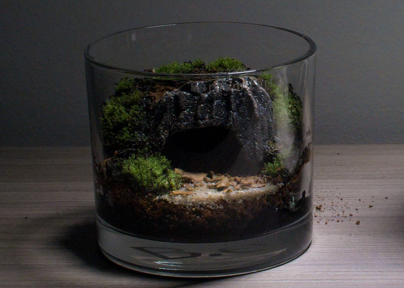 Making A Miniature Cave Terrarium