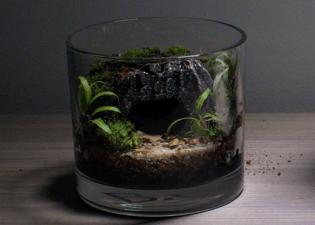 Terrarium Decor Rainforest Diorama Supplies Preserved Moss Half