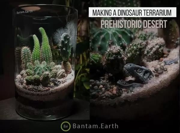 Making Prehistoric Desert | A Dinosaur Terrarium
