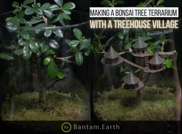 Making A Bonsai Treehouse Village Terrarium