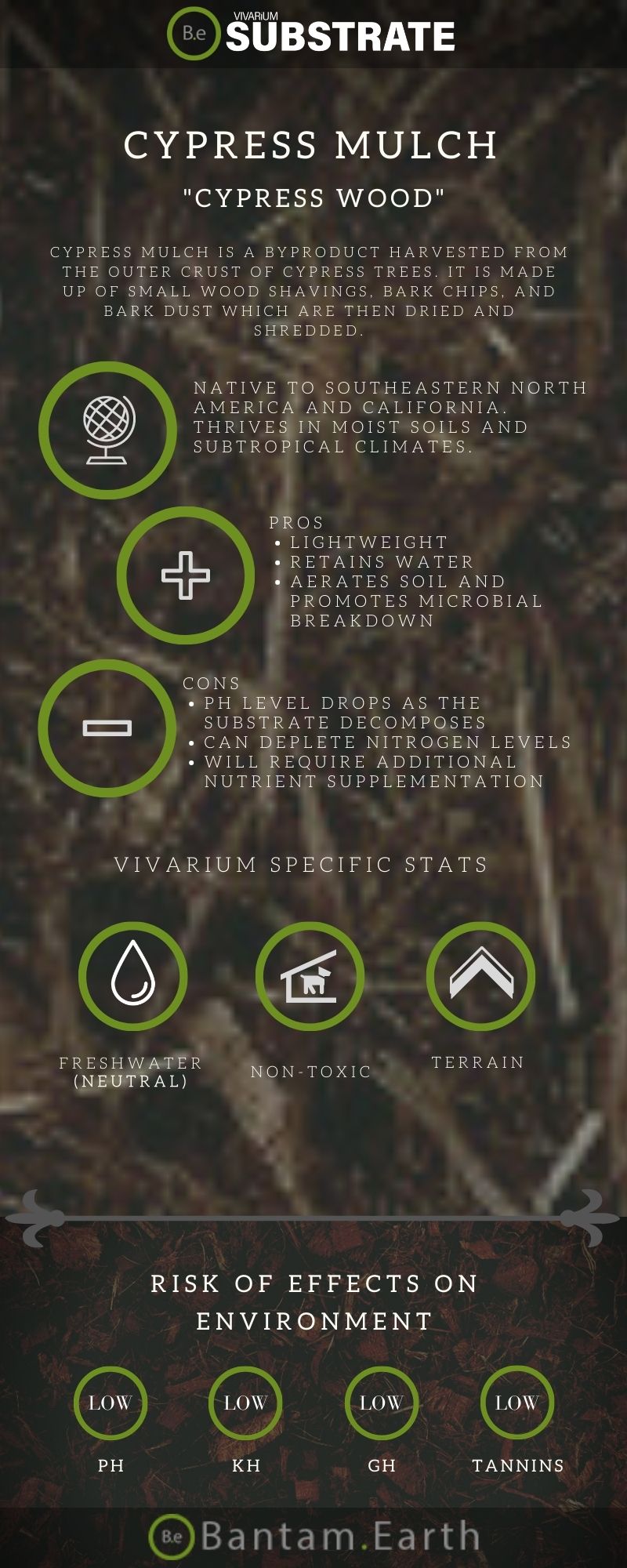 Complete Guide On Cypress Bark "Cypress Mulch" For Terrariums