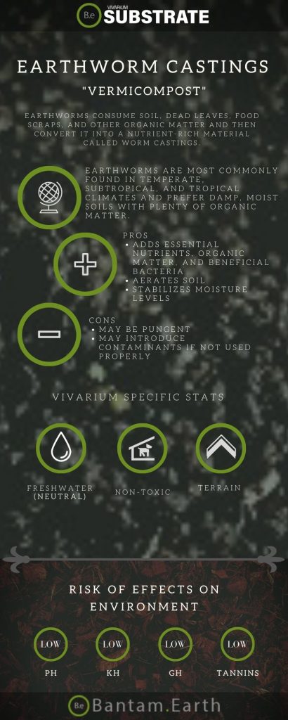 A Guide To Earthworm Castings "Vermicompost" For Terrariums