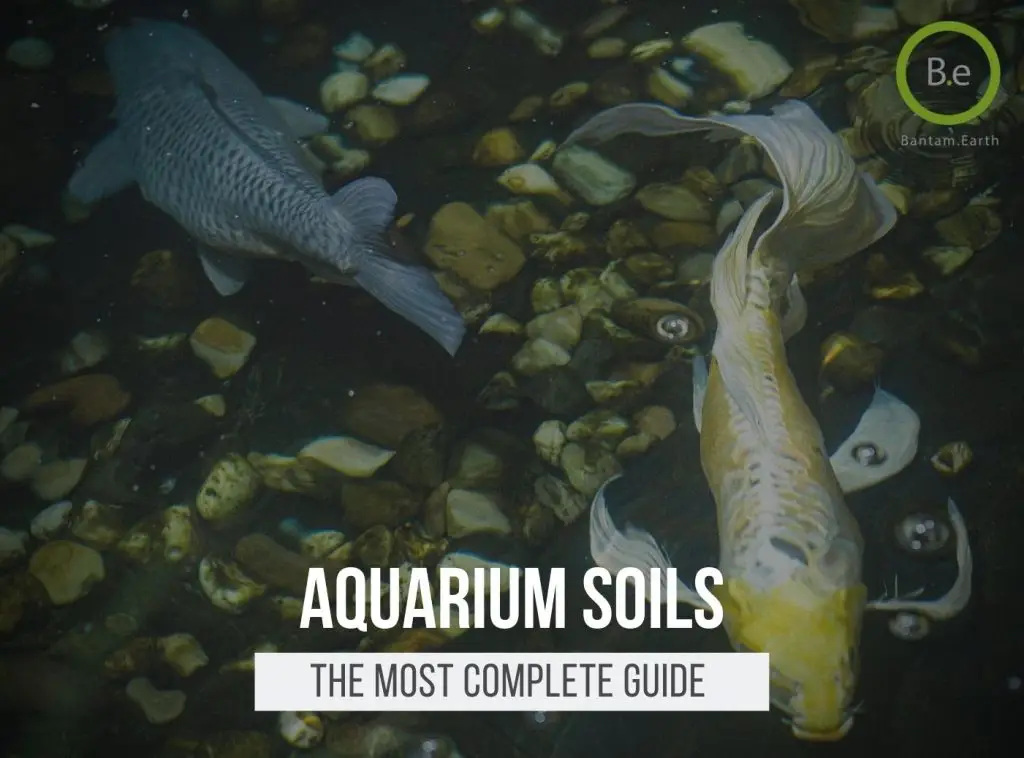 Aquarium Substrate & Soil: The Most Complete Guide | Bantam.Earth