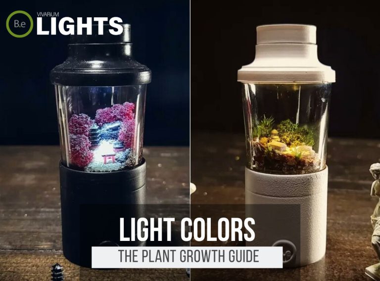 Vivarium Lighting The Most Complete Guide Bantam.Earth