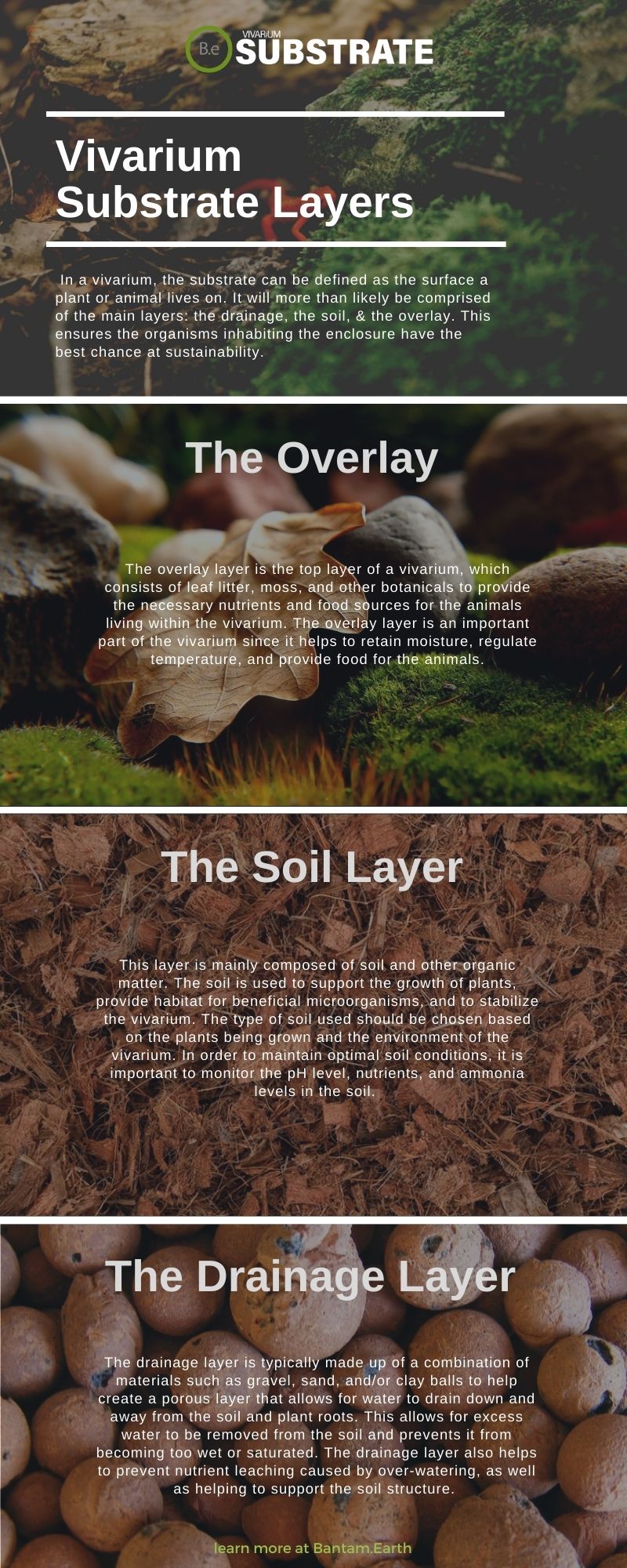 Explore Various Types Of Vivarium Substrates Bantam.Earth