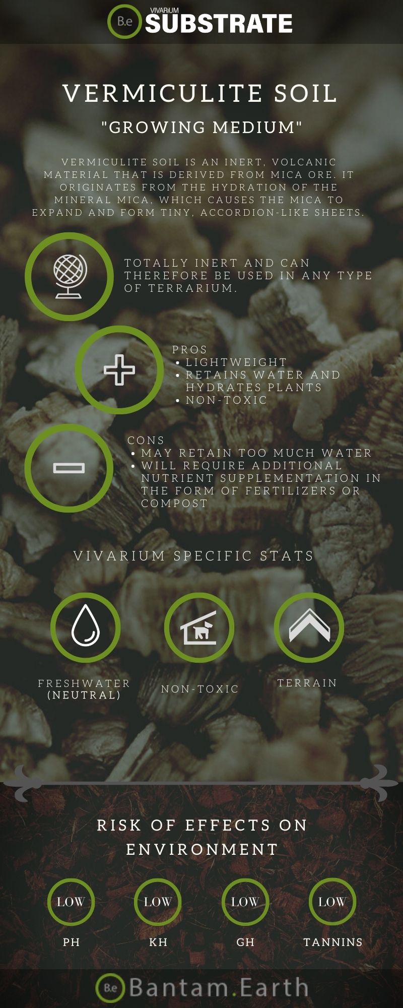 A Guide To Vermiculite Soil, A Growing Medium For Terrariums